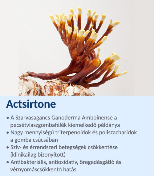Actsirtone