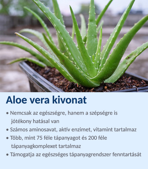Aloe Vera kivonat