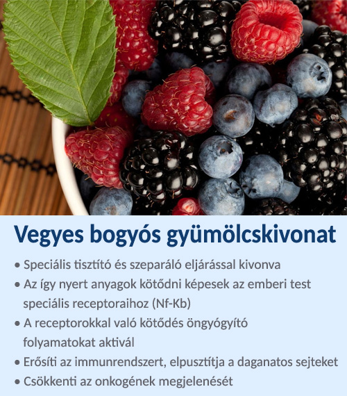 Bogyós gyümölcs