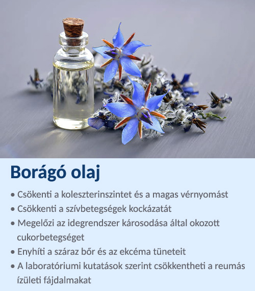 Borágó olaj