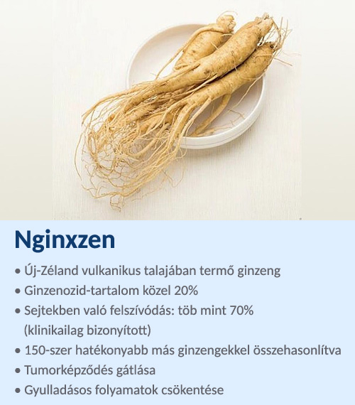 Nginxzen