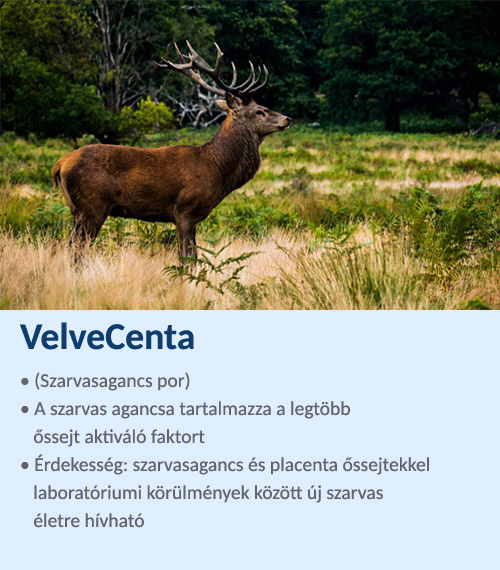 Szarvasagancs por