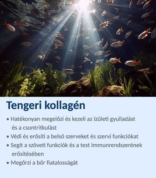 Tengeri kollagén